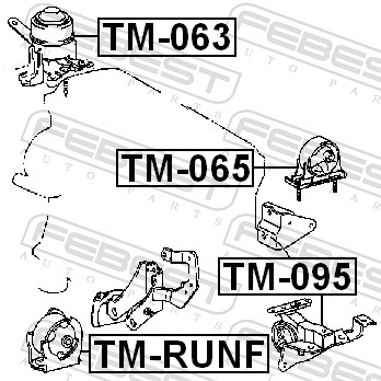 TM065 FEBEST