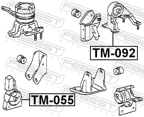 TM092 FEBEST