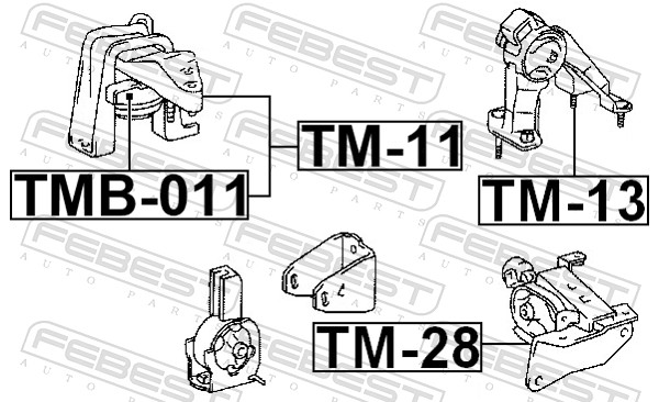 TM11 FEBEST