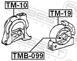 TM19 FEBEST