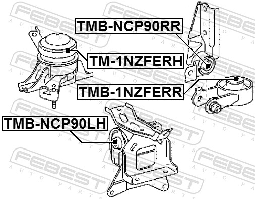 TM1NZFERH FEBEST