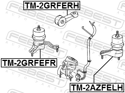 TM2GRFERH FEBEST