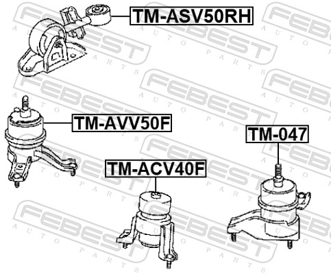 TMASV50RH FEBEST