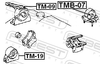 TMB07 FEBEST