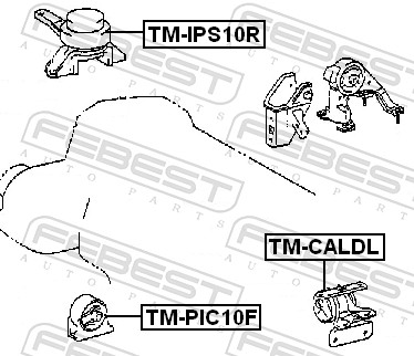 TMPIC10F FEBEST