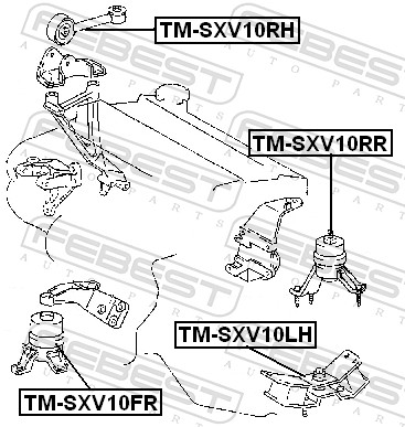 TMSXV10RR FEBEST
