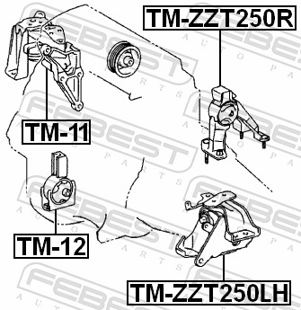 TMZZT250R FEBEST