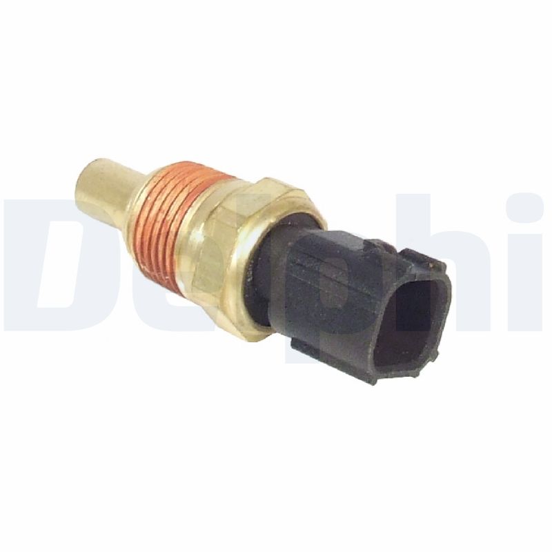TS10154 DELPHI