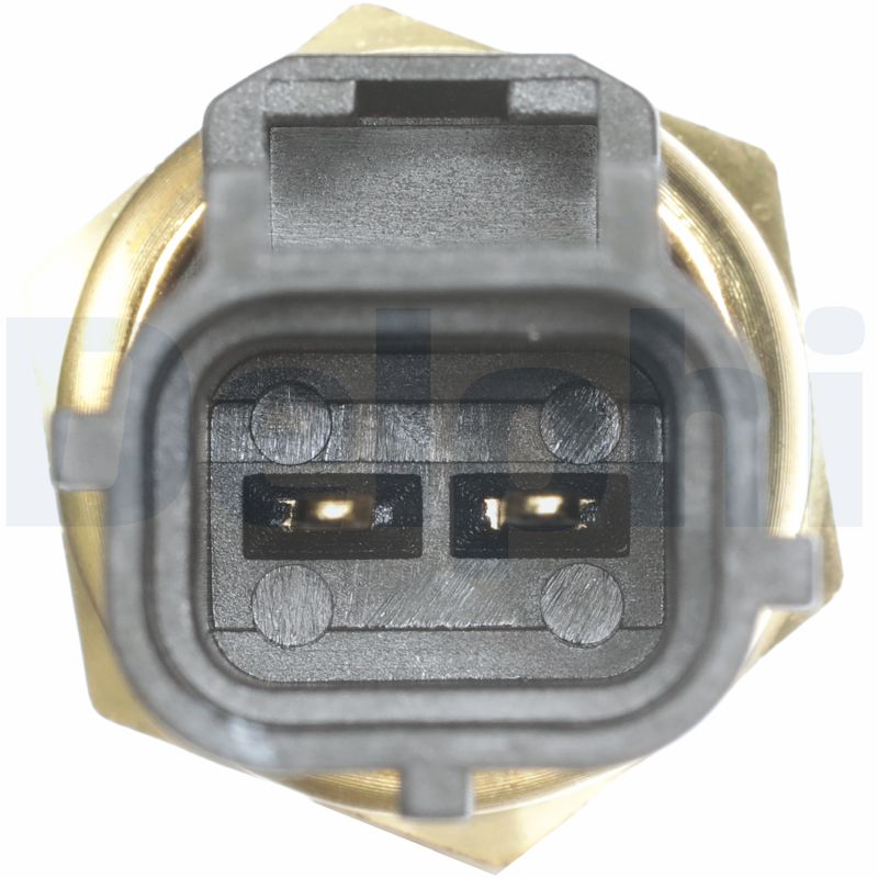 TS10327 DELPHI