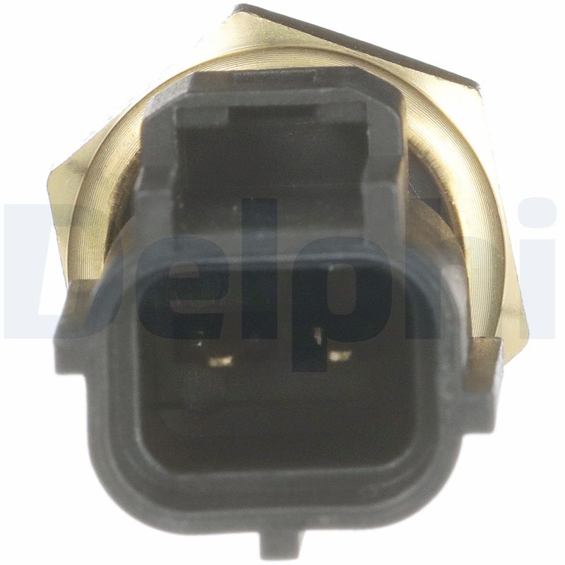 TS10327 DELPHI