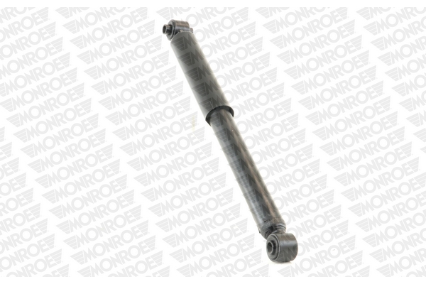 V1166 MONROE