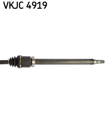 VKJC4919 SKF
