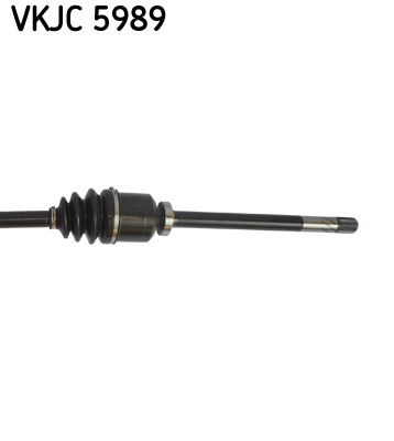 VKJC5989 SKF