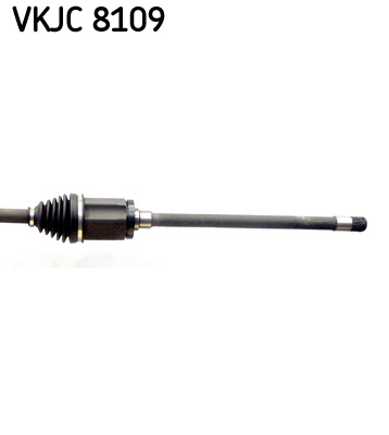 VKJC8109 SKF