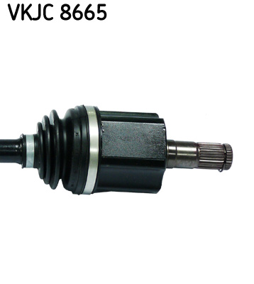 VKJC8665 SKF