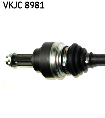VKJC8981 SKF