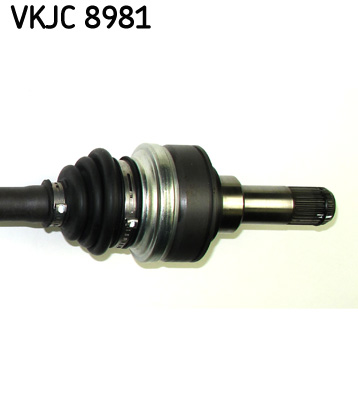 VKJC8981 SKF