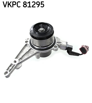 VKPC81295 SKF
