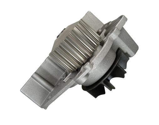 WP6085 CONTITECH