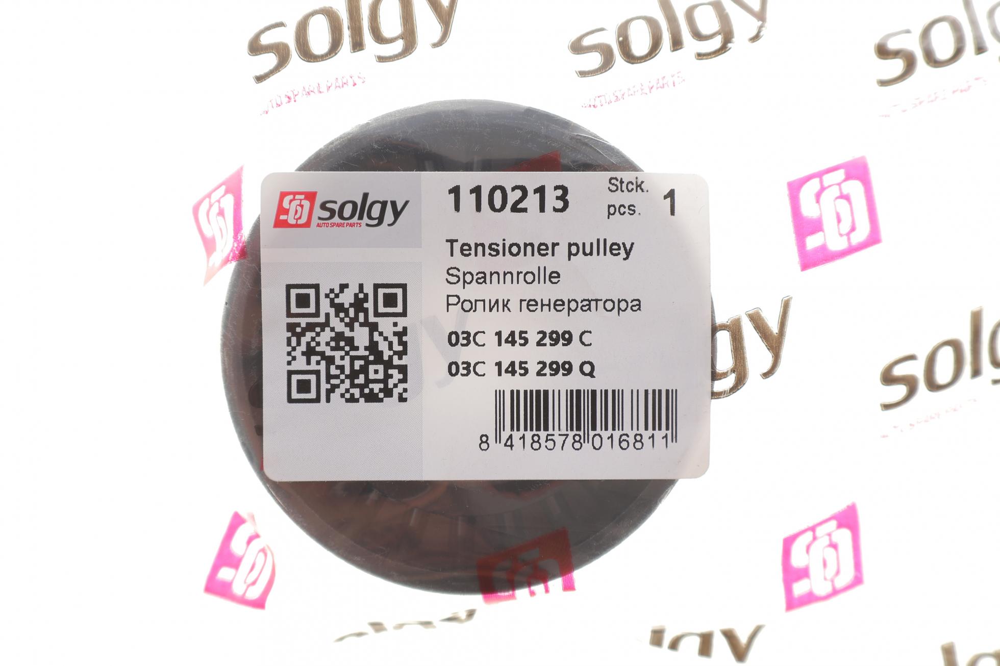 110213 SOLGY
