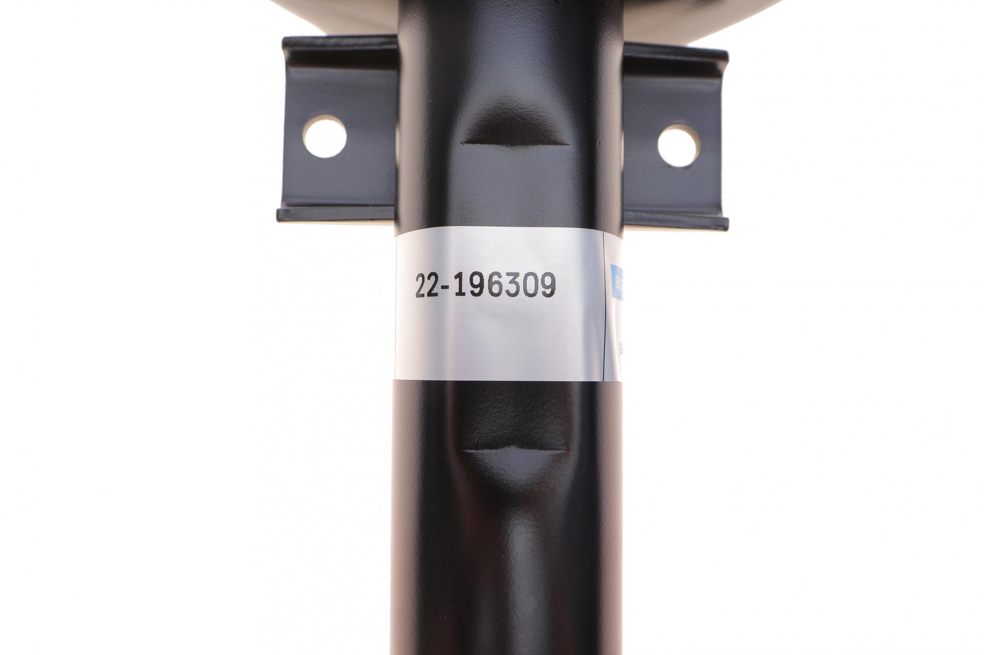 22196309 BILSTEIN