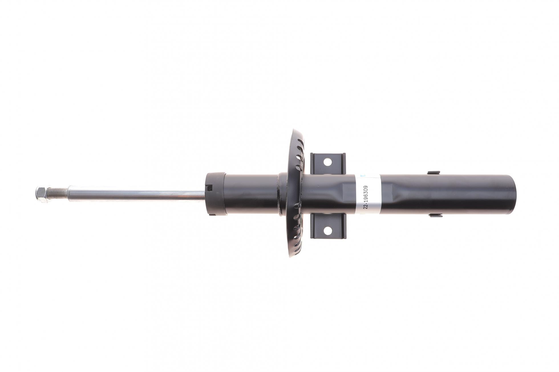 22196309 BILSTEIN