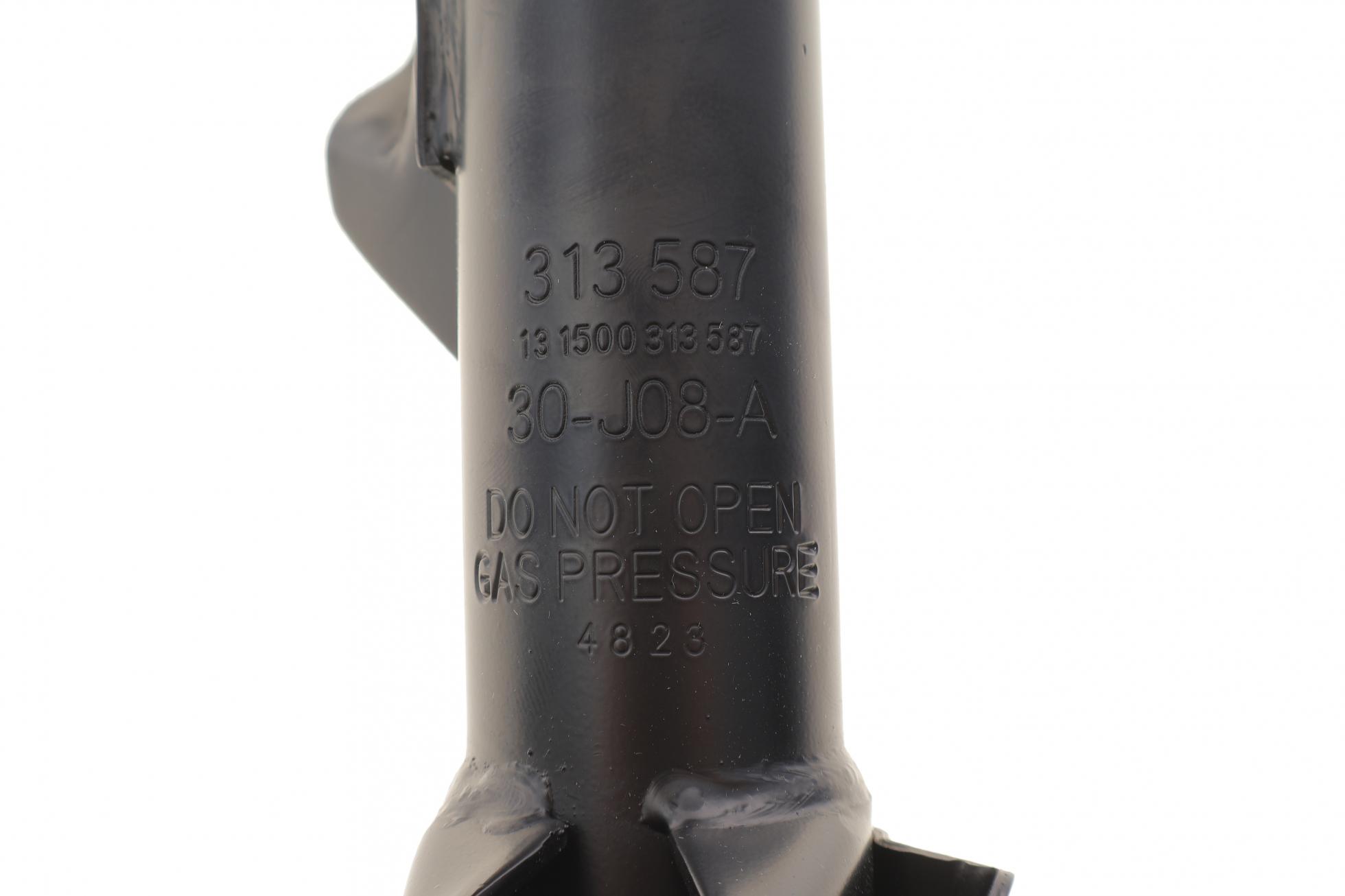 313587 SACHS
