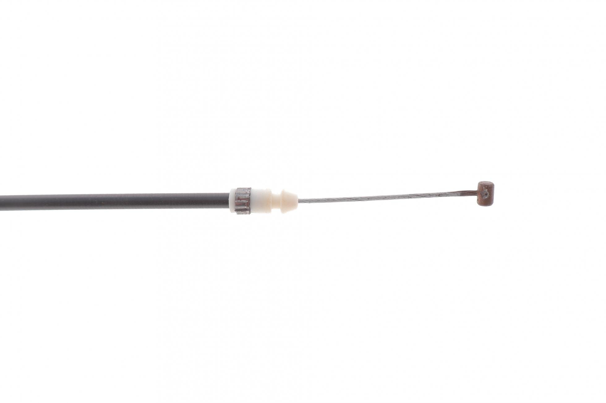 FT95645 FAST