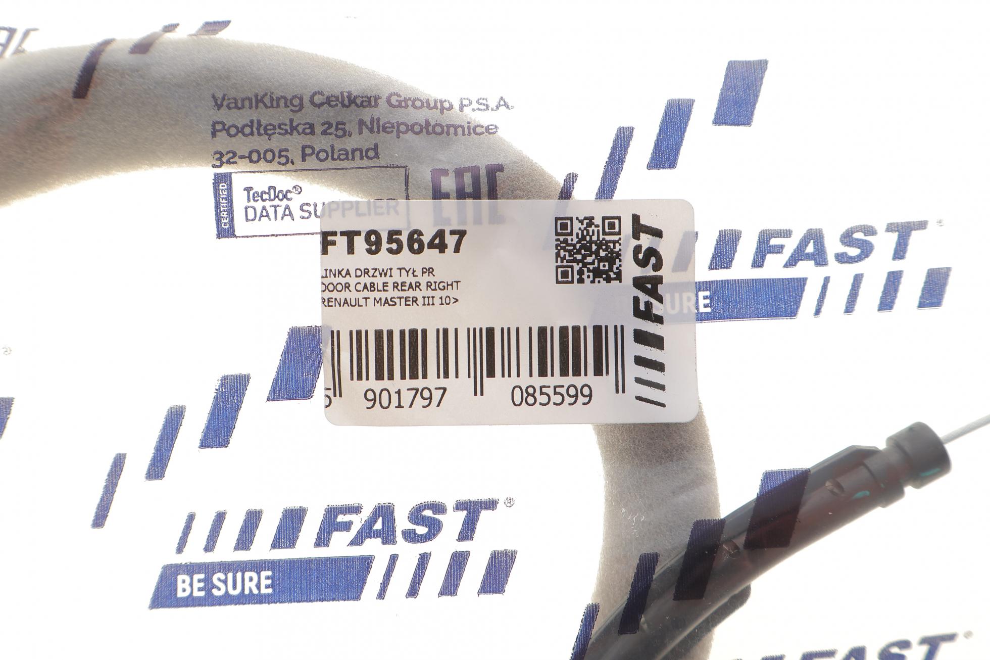 FT95647 FAST