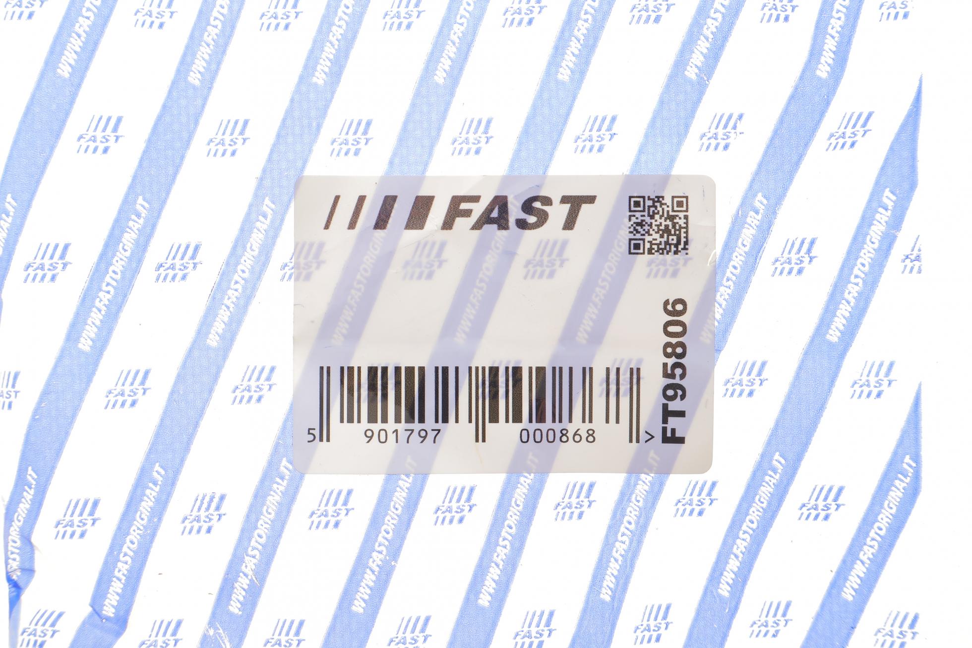 FT95806 FAST