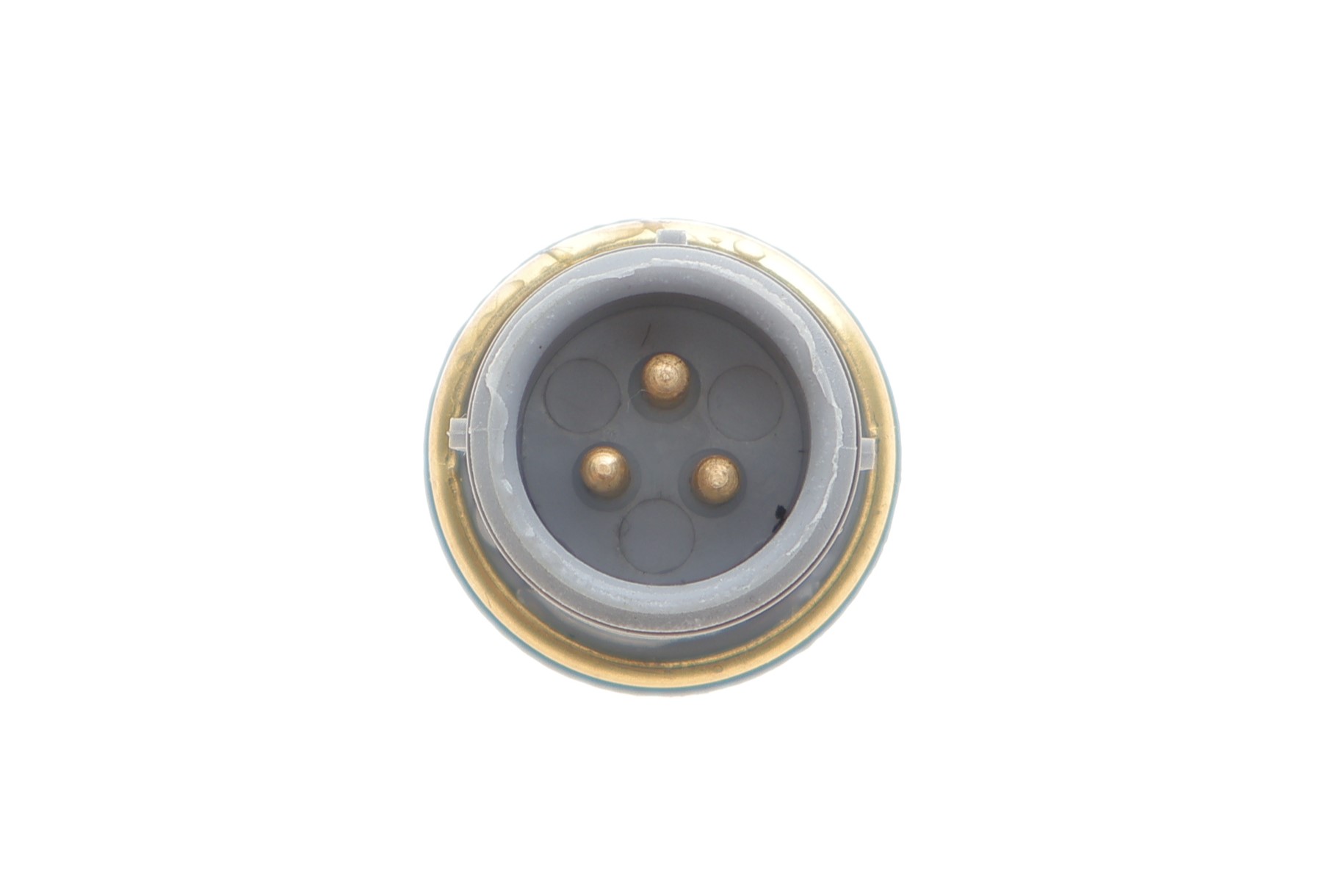 TS10272 DELPHI