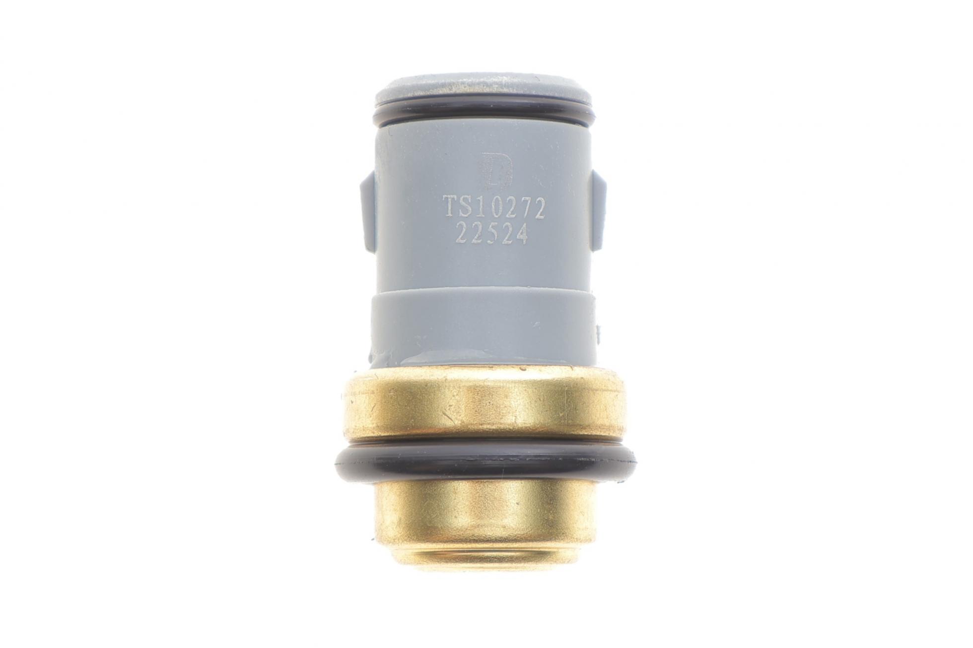 TS10272 DELPHI