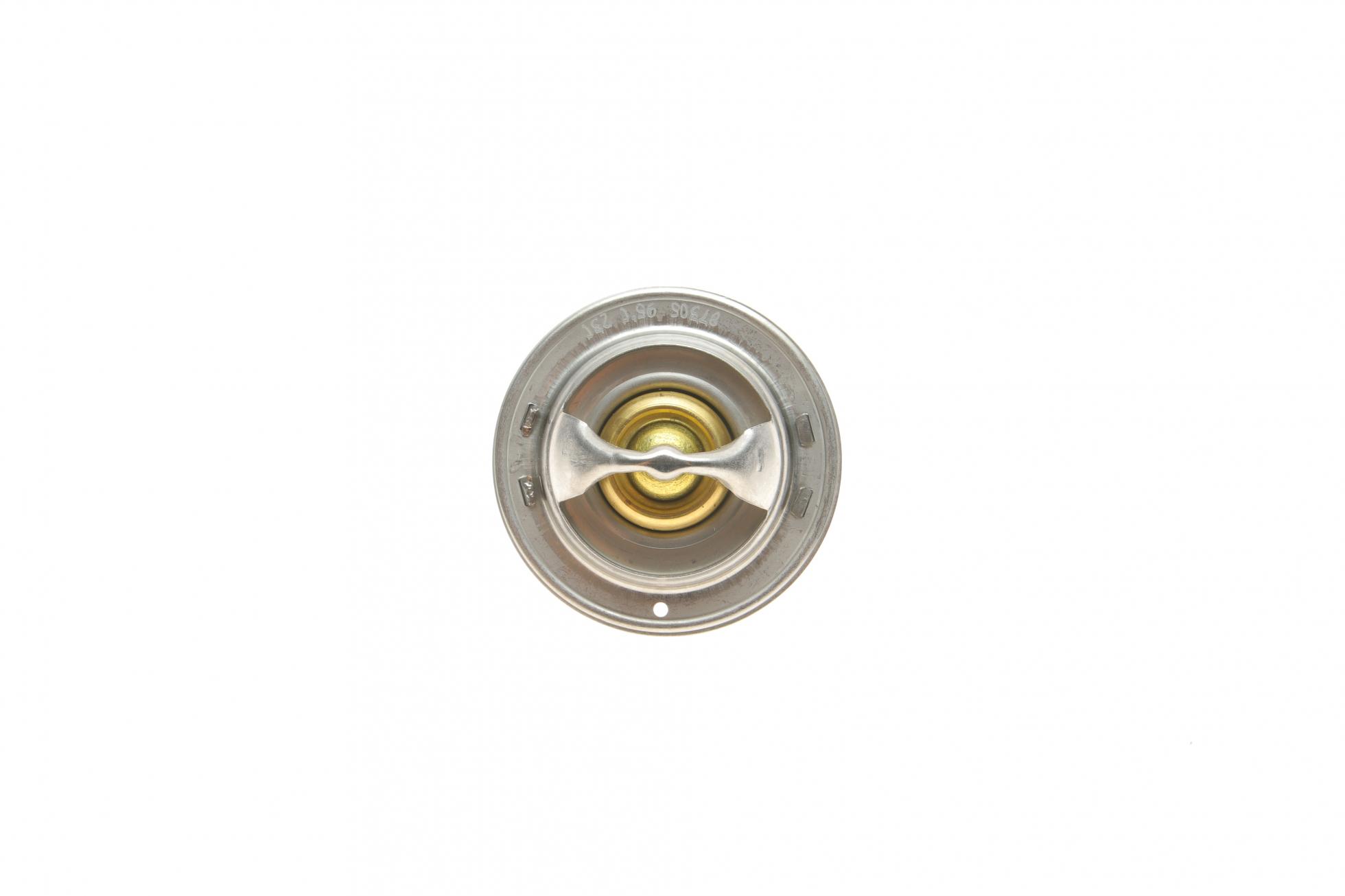 TX17595D MAHLE