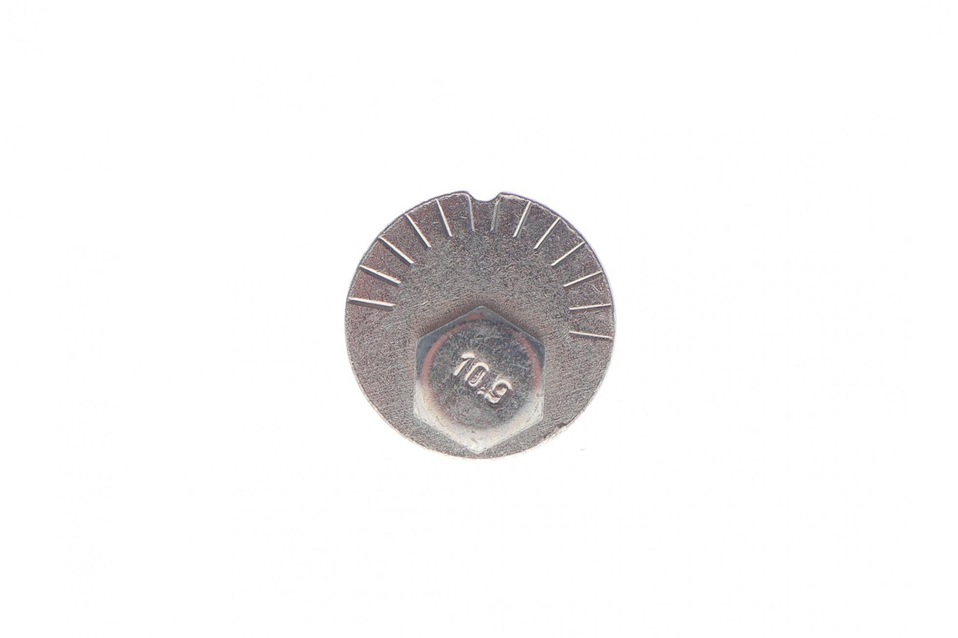 204205 SOLGY