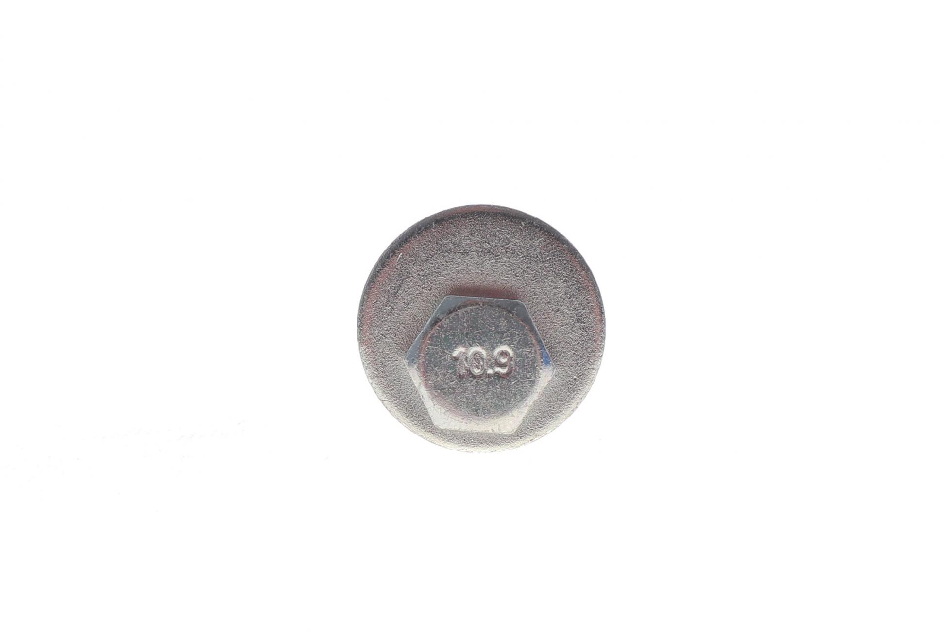 204236 SOLGY
