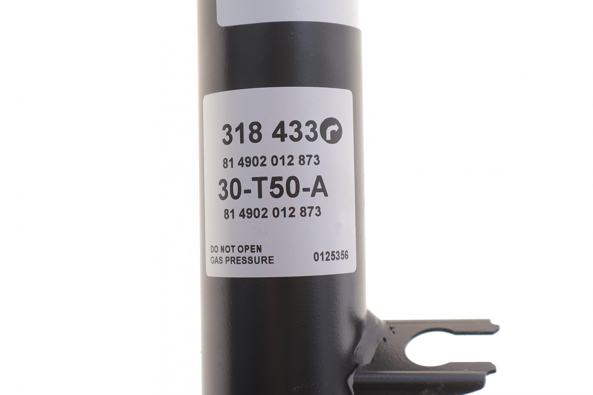 318433 SACHS