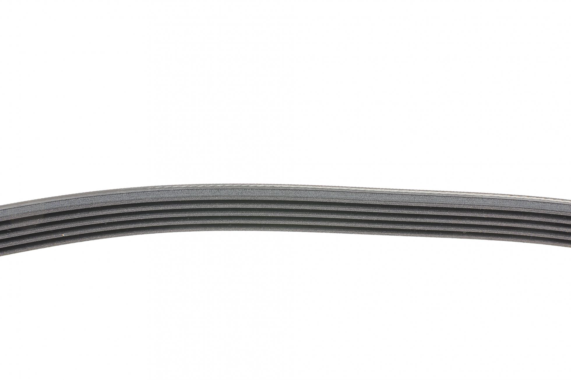 5PK1300 Contitech
