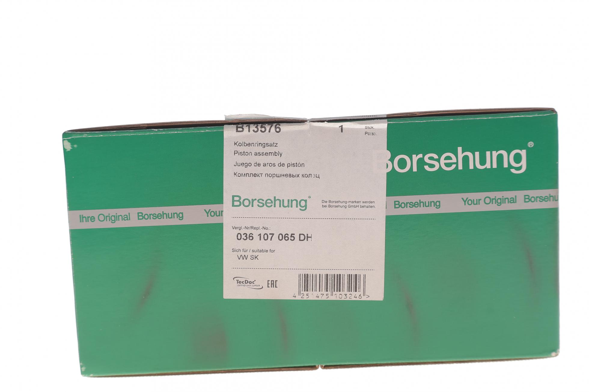 B13576 BORSEHUNG
