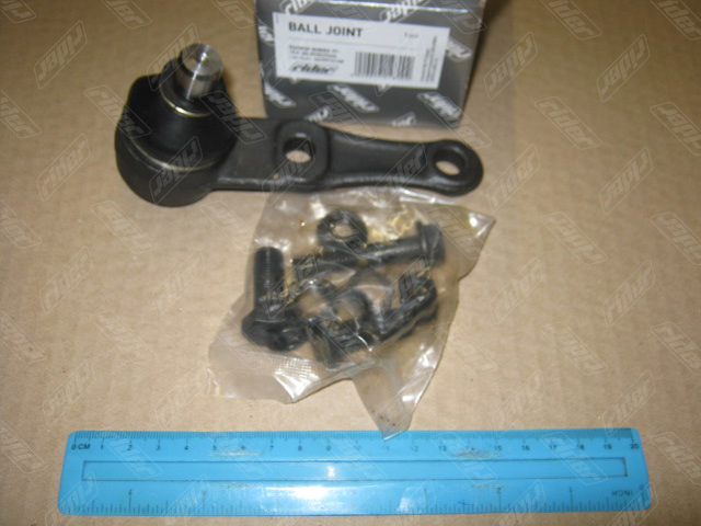 RD993529665 RIDER