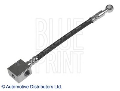 ADN153904 BLUE PRINT