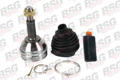 BSG30340011 BSG