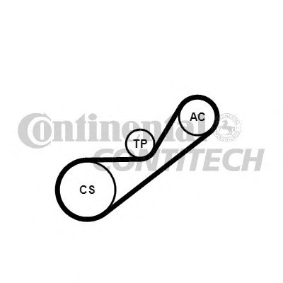 4PK925K1 CONTITECH