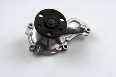 P7843 HEPU