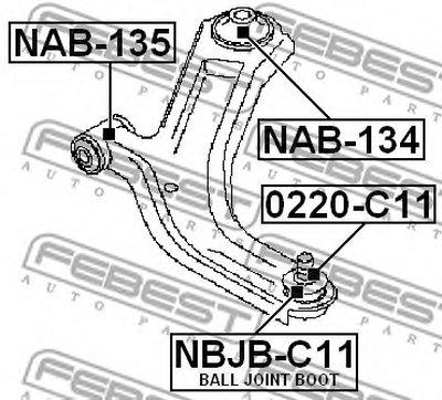 0220C11 FEBEST