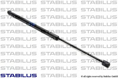 011499 STABILUS