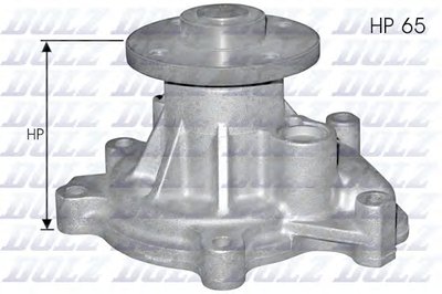 T224 DOLZ