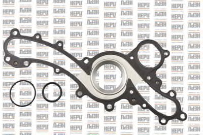 P7698 HEPU