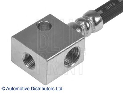 ADN153904 BLUE PRINT
