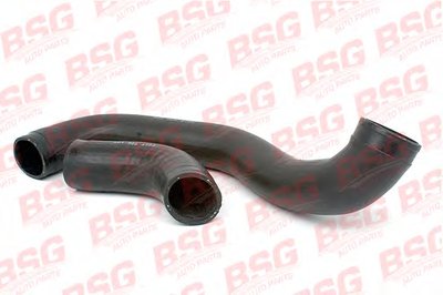 BSG60720008 BSG