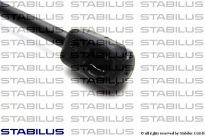 011499 STABILUS